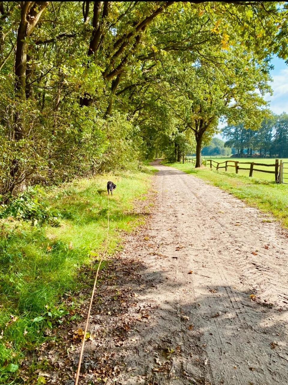 Exklusiver Rueckzugsort Mit Sauna In Der Natur! Nachrodt-Wiblingwerde Exteriör bild