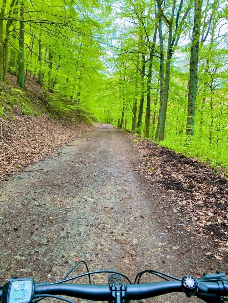 Exklusiver Rueckzugsort Mit Sauna In Der Natur! Nachrodt-Wiblingwerde Exteriör bild